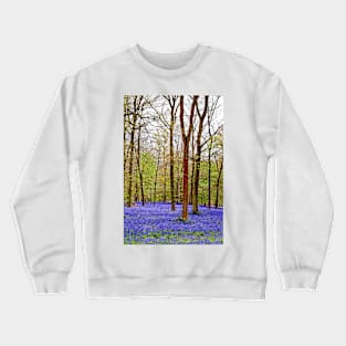 Bluebell Woods Greys Court England UK Crewneck Sweatshirt